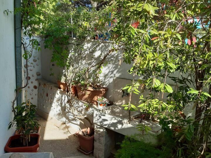Apartment Biljana