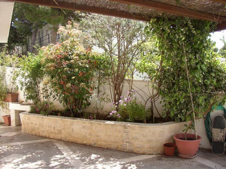 Biljana Apartment Bol